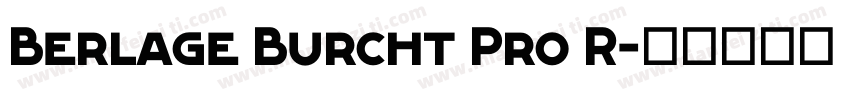 Berlage Burcht Pro R字体转换